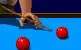 Billard