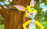 Animal Characters Games