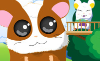 Hamster Spelletjes