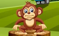 Jogos de Macaco no Jogos 360