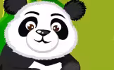 Pandaer