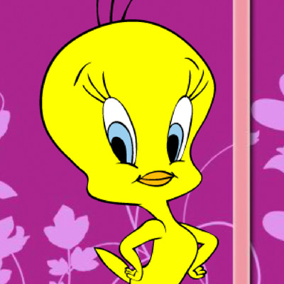 Play Tweety Games on GamesXL, free for everybody!