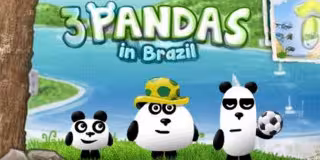 3 Pandas in Brazil