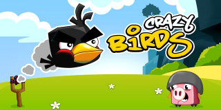 Crazy Birds - Play Game for Free - GameTop