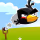Crazy Birds