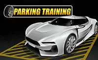 Parkeer Training