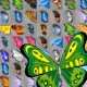 Butterfly Kyodai