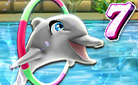 Dolfijnenshow 7