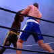 Ultimate Boxing