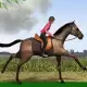 Horse Jumping