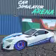 Car Simulator Arena