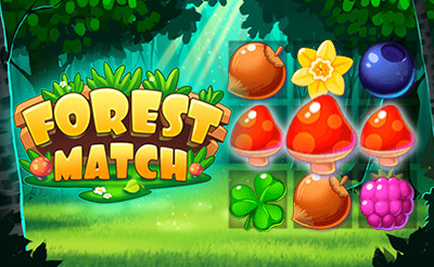 Forest Match 🕹️ Jogue Forest Match Grátis no Jogos123