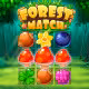 Forest Match