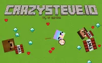 CrazySteve.io