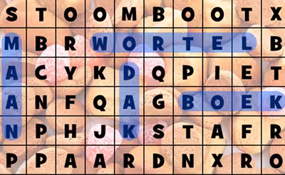 Sinterklaas Woordzoekers