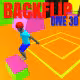 Backflip Dive 3D