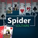 Arkadium Spider Solitaire