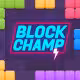 Block Champ