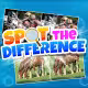 Spot the Difference