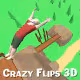 Crazy Flips 3D