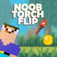 Noob Torch Flip 2D