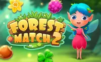 Forest Match 2