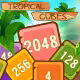 Tropical Cubes 2048