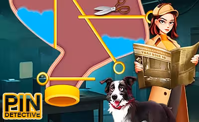 Pin Detective