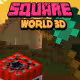 Square World 3D