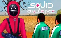 Squid Challenge