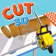 Cut 3D