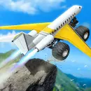 Crazy Plane Landing