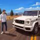 Luxury SUV City Driver