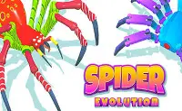 Spider Evolution