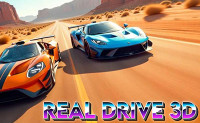 Real Drive 3D