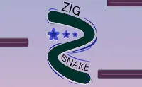 Zig Snake