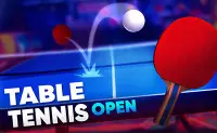 Table Tennis Open