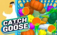 Catch The Goose