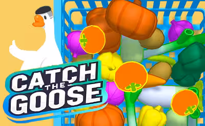 Catch The Goose