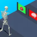 Human Evolution Run