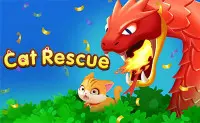 Cat Rescue