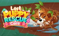 Lost Puppy: Rescue and Care