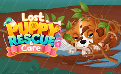 Lost Puppy: Rescue and Care