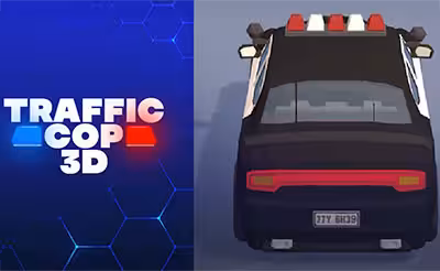 Traffic Cop 3D