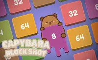 Capybara Block Shot