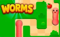 Worms