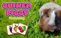 Guinea Piggy Matching
