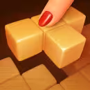 Wood Block Puzzle 3
