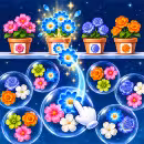 Pop Flower