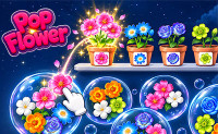 Pop Flower